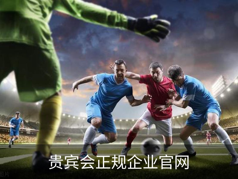 贵宾会正规企业官网概况